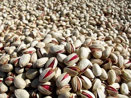 تصویر 3 از پسته احمد آقایی با درصد خندان بالا و ظاهر یکدست